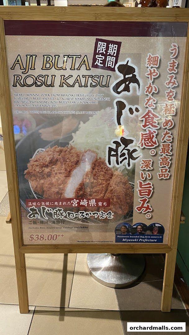 Menu page for Tonkatsu by Ma Maison  Mandarin Gallery