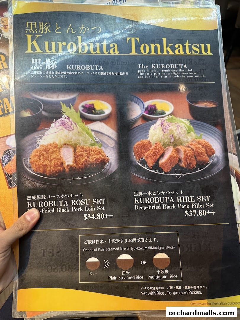 Menu page for Tonkatsu by Ma Maison  Mandarin Gallery