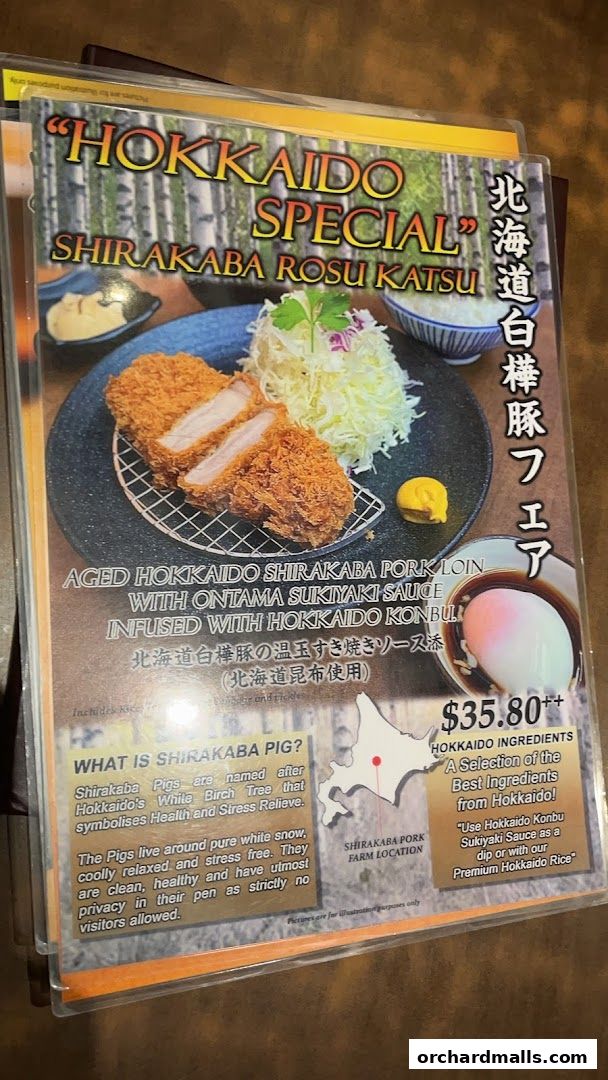 Menu page for Tonkatsu by Ma Maison  Mandarin Gallery