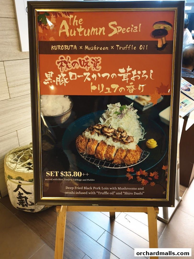 Menu page for Tonkatsu by Ma Maison  Mandarin Gallery