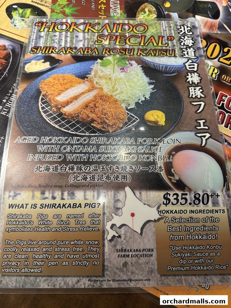 Menu page for Tonkatsu by Ma Maison  Mandarin Gallery