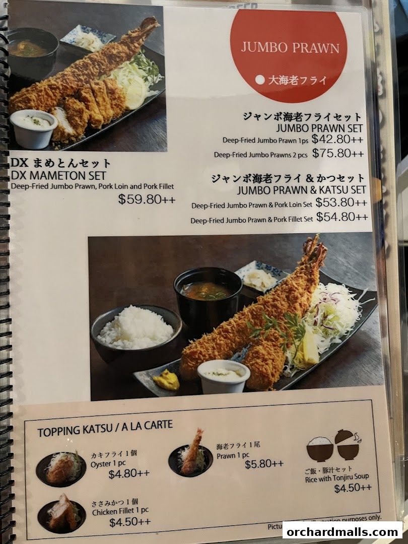 Menu page for Tonkatsu by Ma Maison  Mandarin Gallery