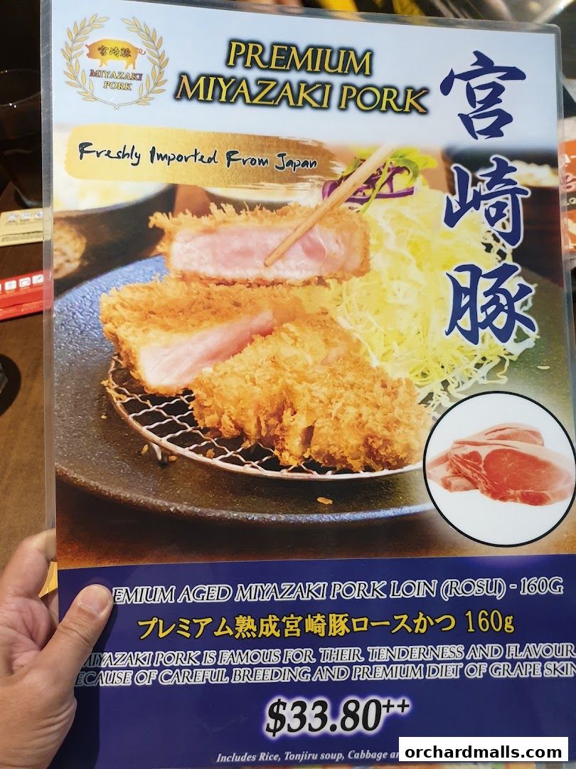 Menu page for Tonkatsu by Ma Maison  Mandarin Gallery