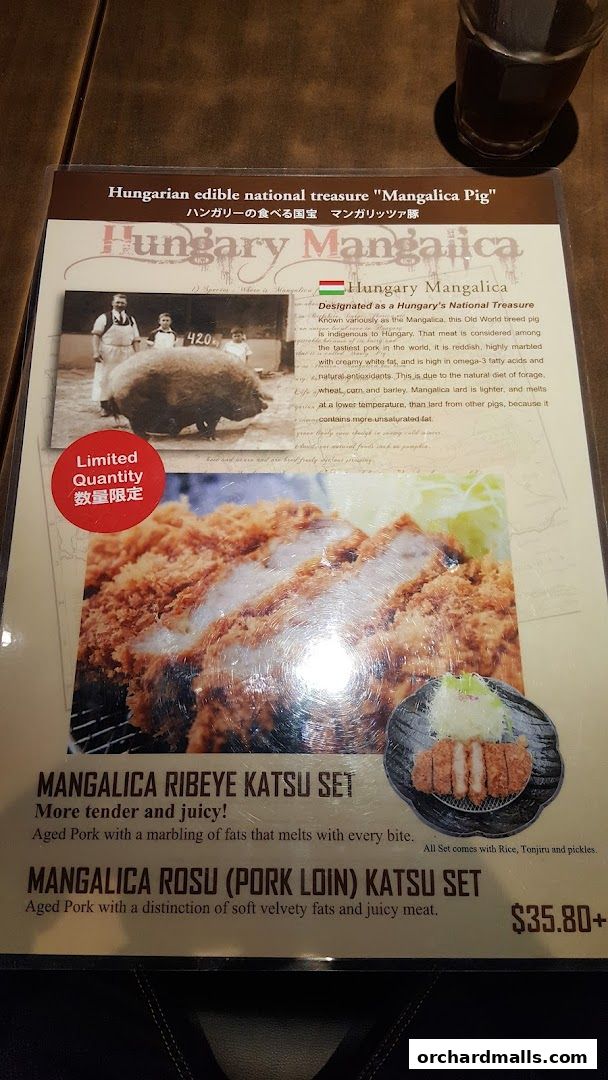 Menu page for Tonkatsu by Ma Maison  Mandarin Gallery