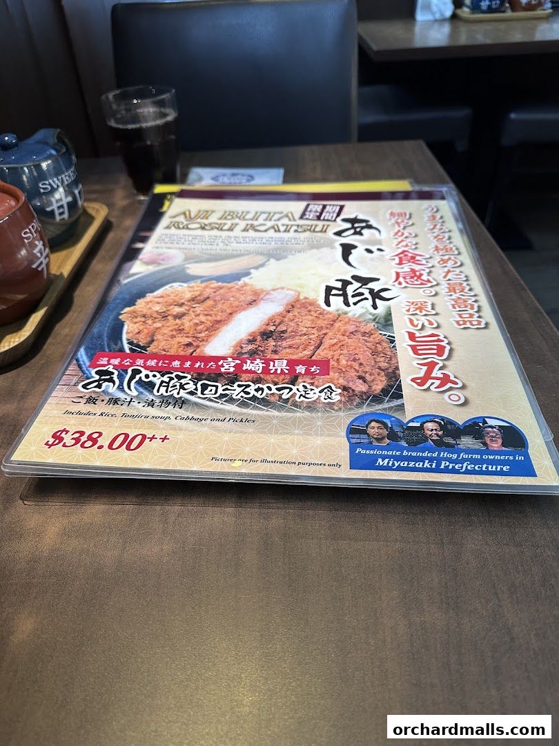Menu page for Tonkatsu by Ma Maison  Mandarin Gallery