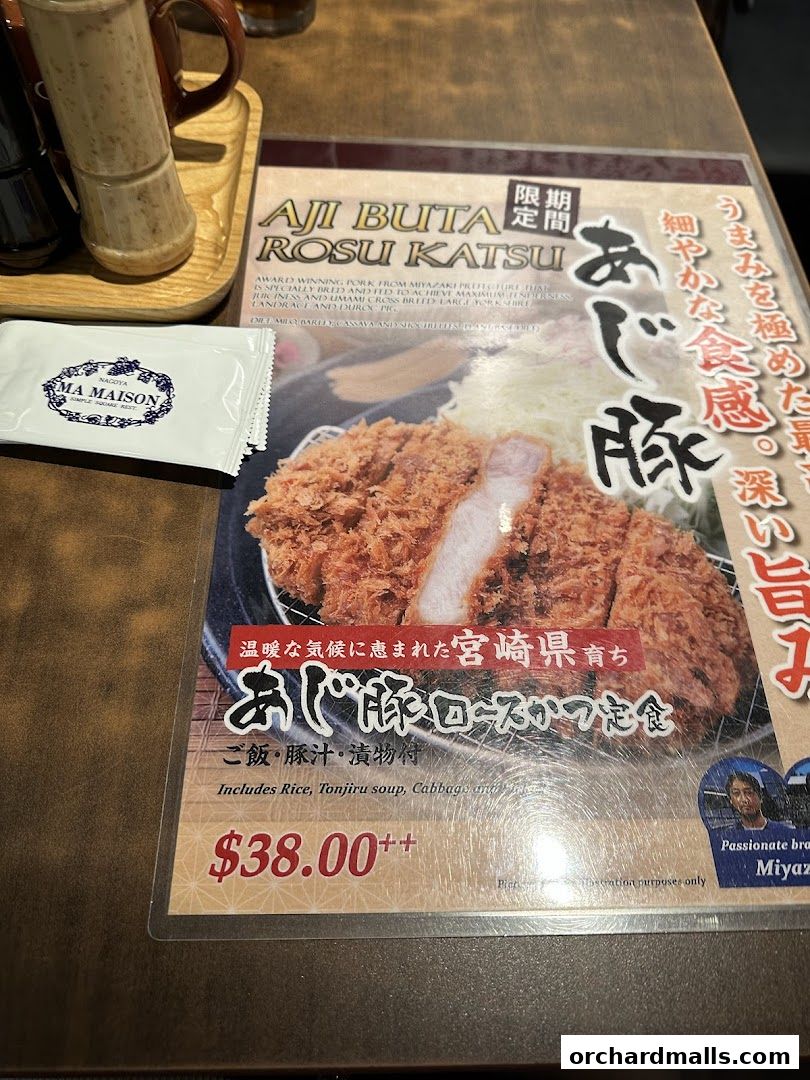 Menu page for Tonkatsu by Ma Maison  Mandarin Gallery