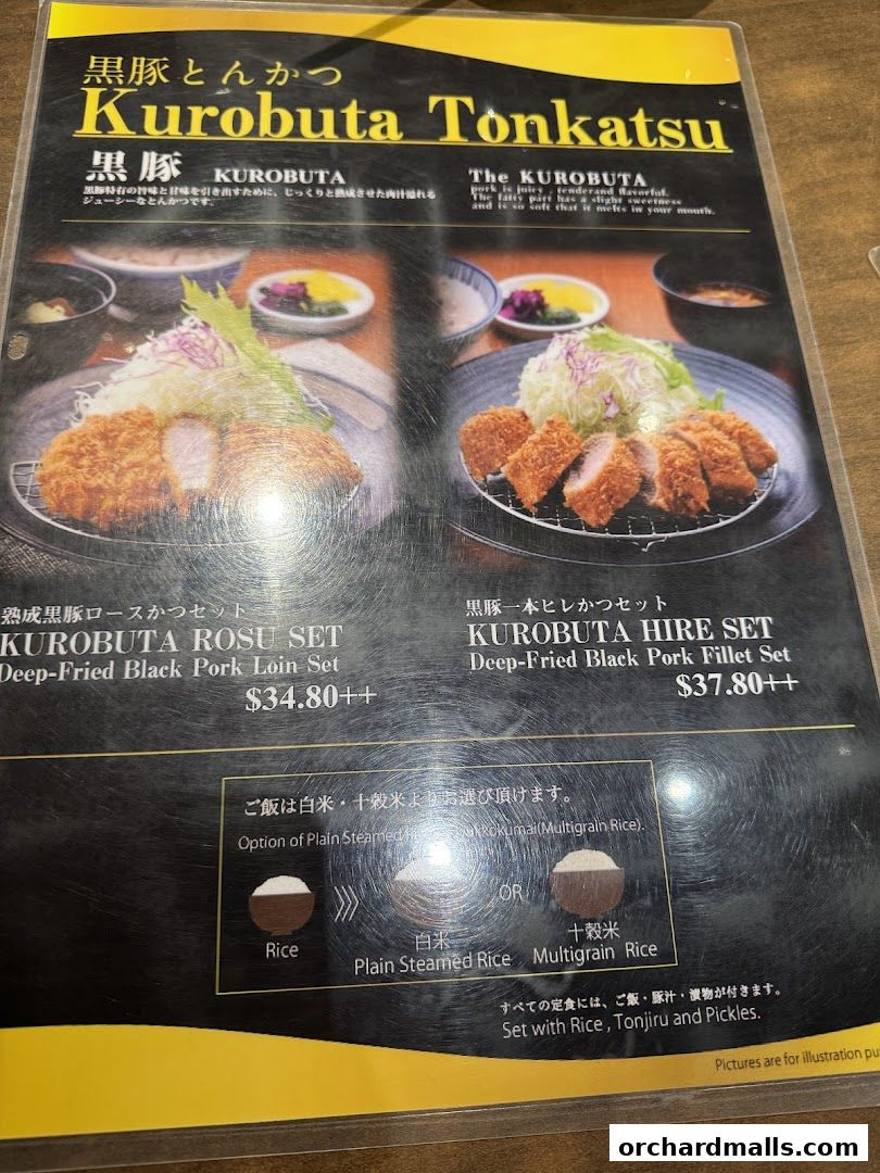 Tonkatsu by Ma Maison  Mandarin Gallery