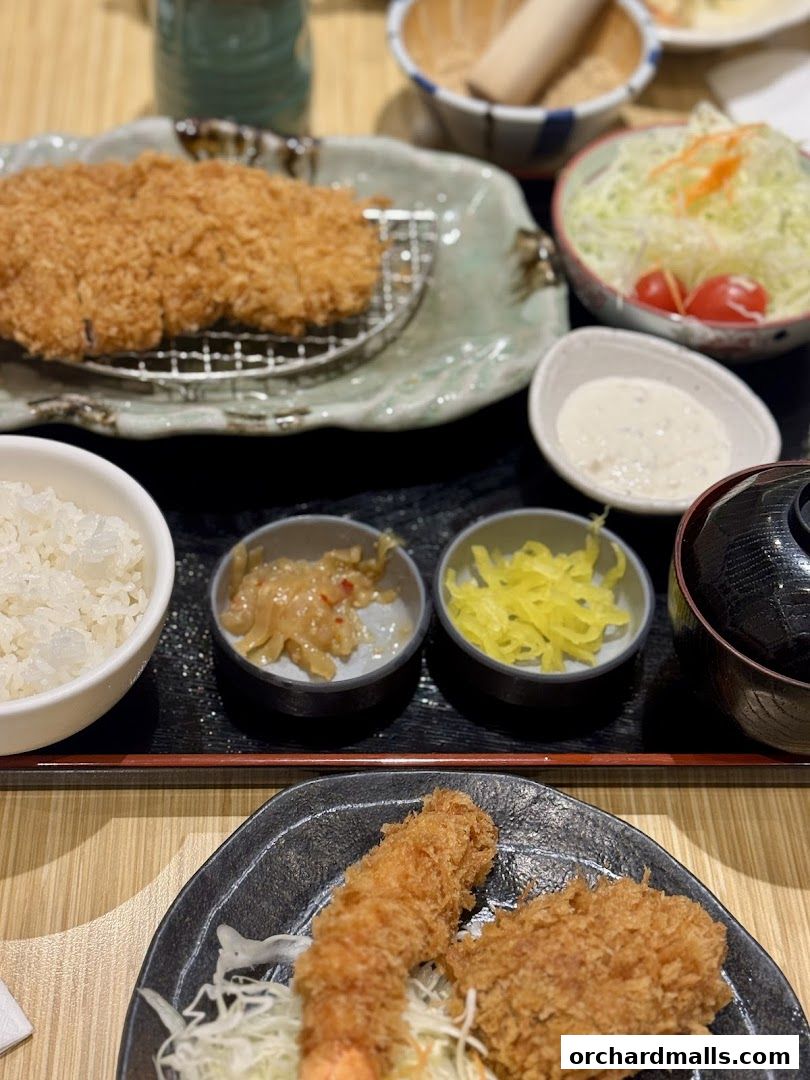 A delicious meal featuring crispy tonkatsu, shrimp, rice, salad, and pickles.