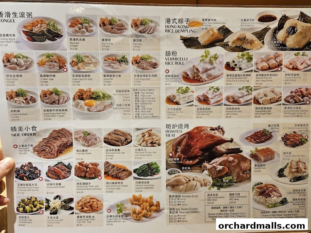 Menu page for Treasures Yi Dian Xin