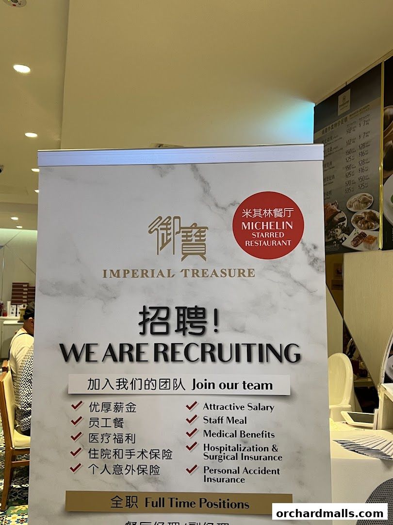 Treasures Yi Dian Xin