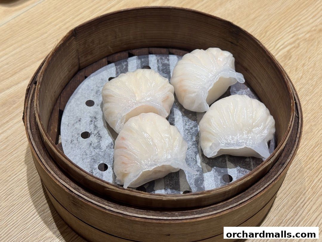 Treasures Yi Dian Xin