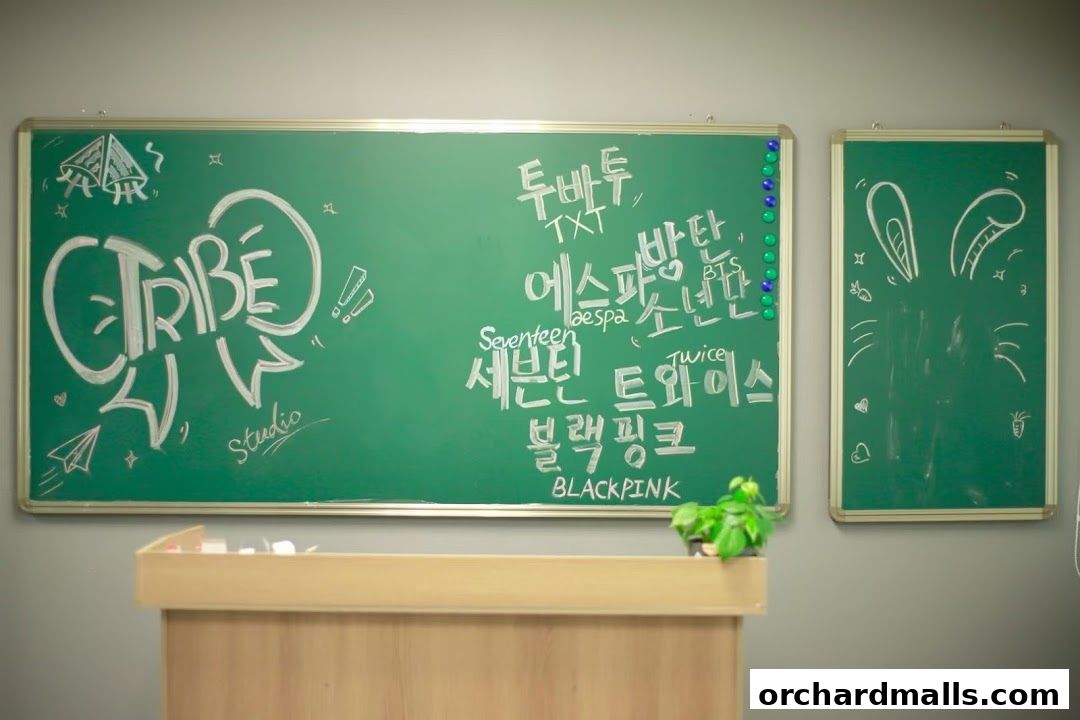 TRIBE YOLO STUDIO SG