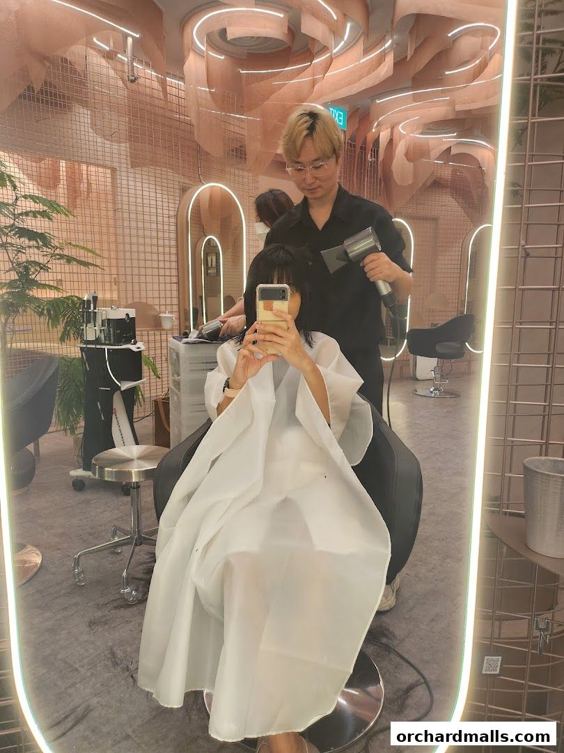 A stylist blow-dries a client's hair in a modern, well-lit salon with stylish decor.