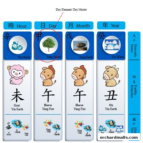 Trilogy People Performance Consultancy