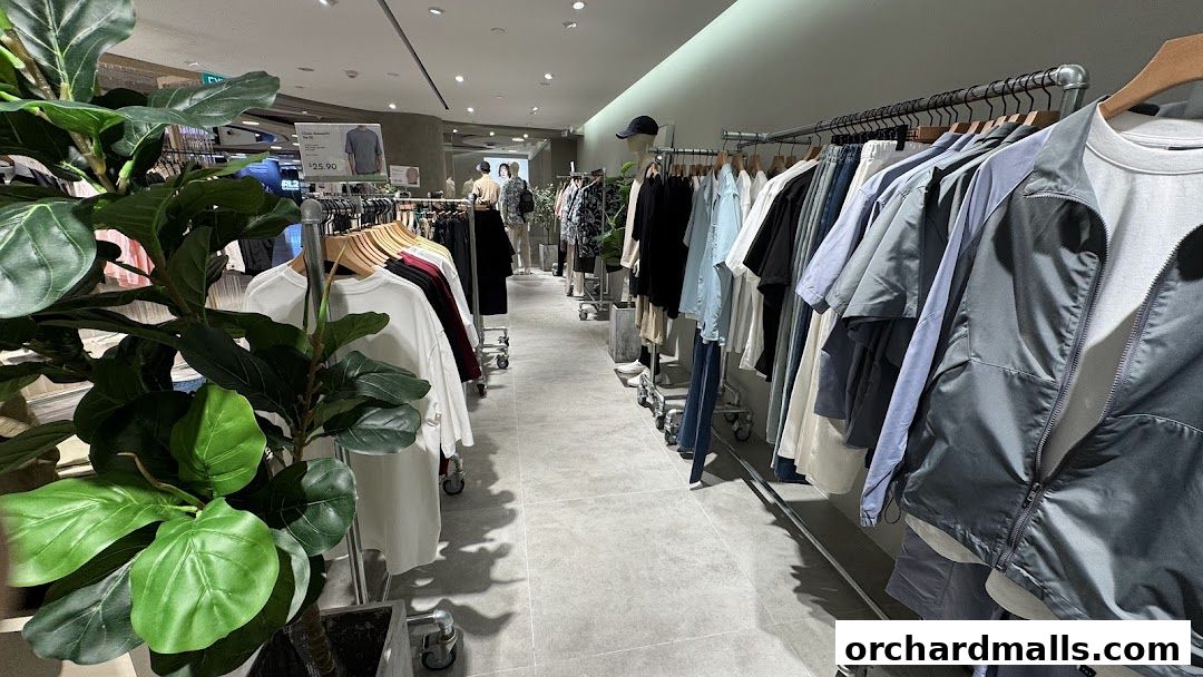 Interior view of a clothing store with racks of men's apparel and a large plant.