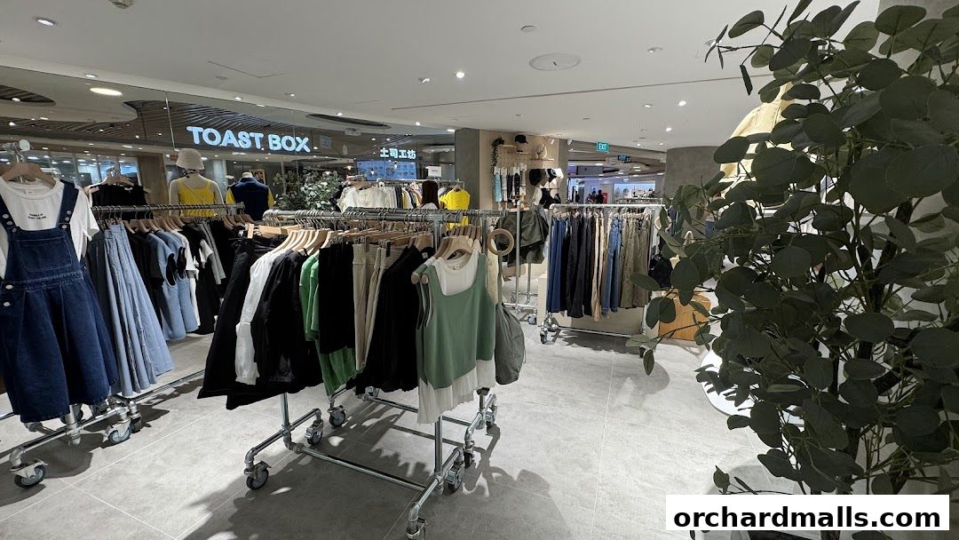 Interior view of a clothing store with racks of apparel and a decorative plant.