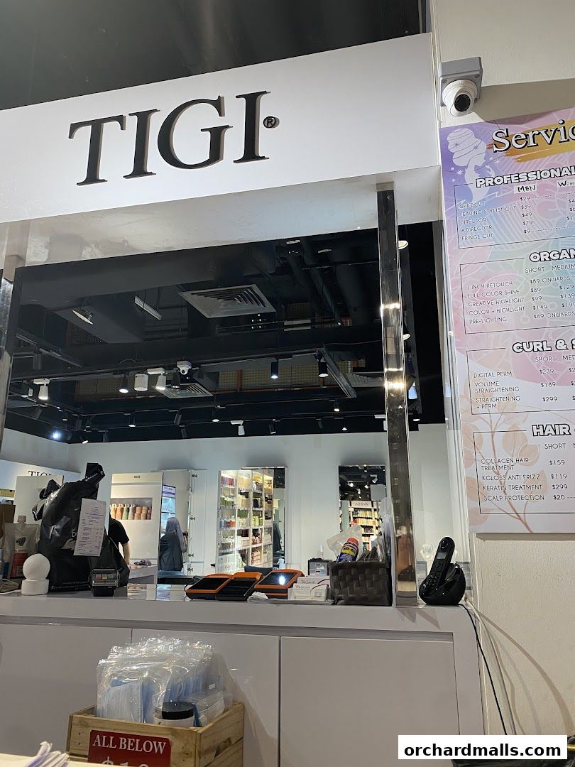 Menu page for Ts Salon