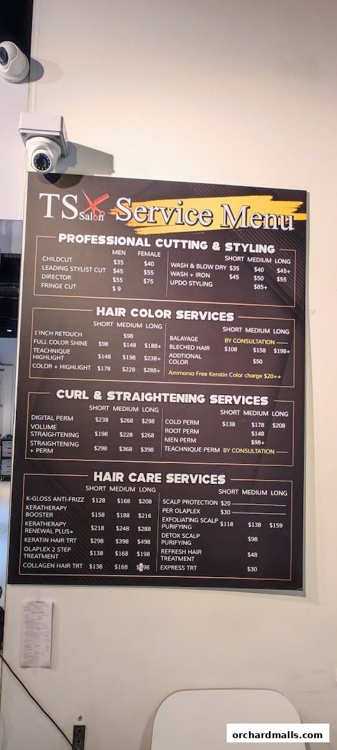 Menu page for Ts Salon