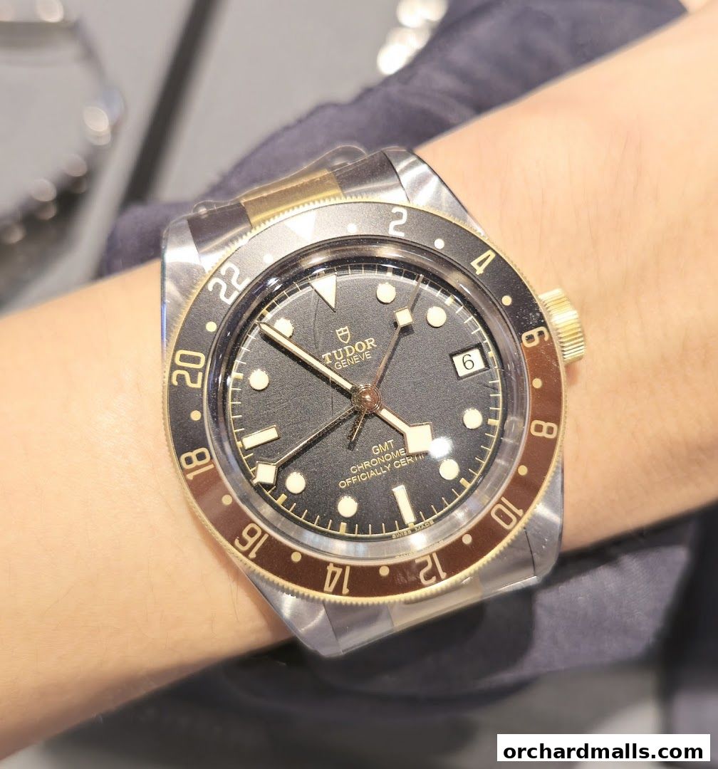A close-up shot of a Tudor GMT watch with a black dial and a bi-color bezel on a person's wrist.