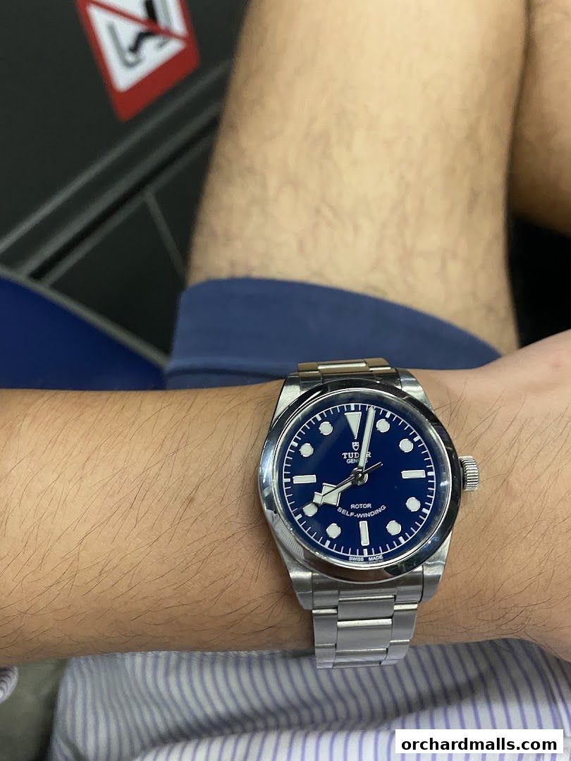 A person wearing a Tudor watch with a blue dial and stainless steel bracelet.