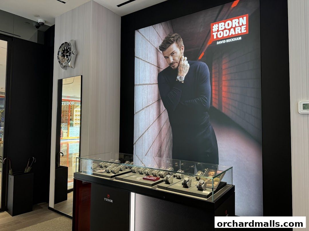 Interior of a Tudor watch boutique with a display case and a large advertisement featuring David Beckham.