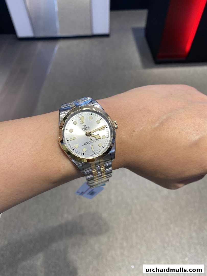 A person wearing a Tudor watch with a two-tone bracelet and silver dial.
