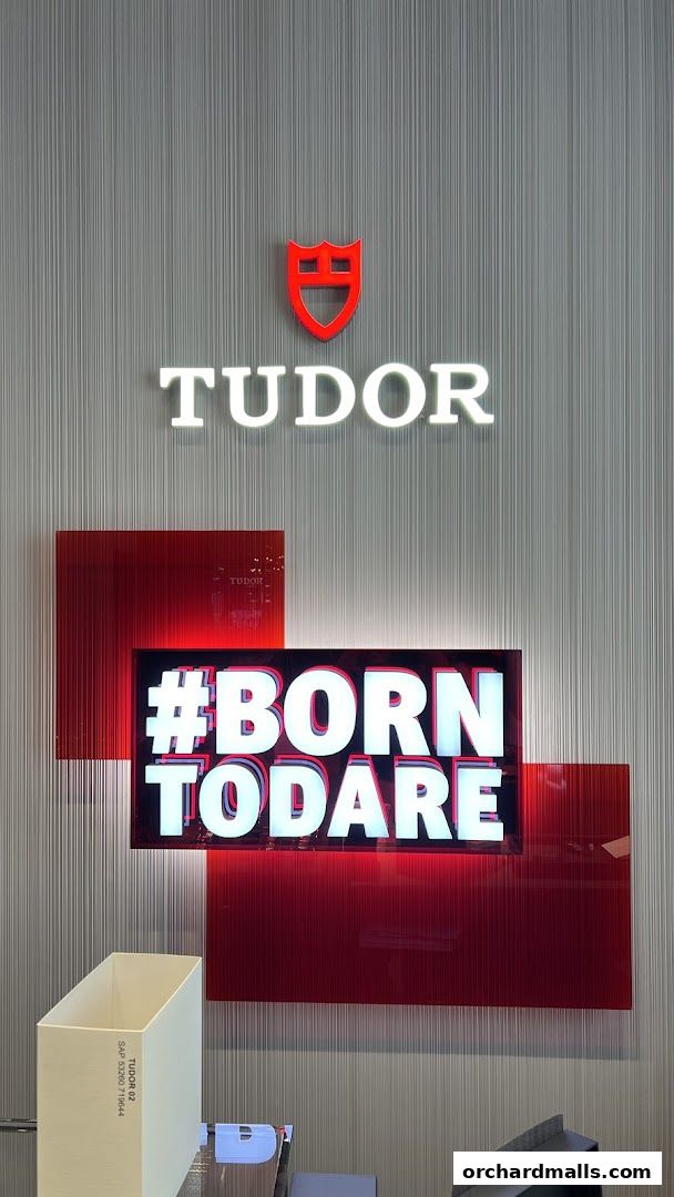 Tudor Boutique features its logo and '#BornToDare' slogan with red accents.