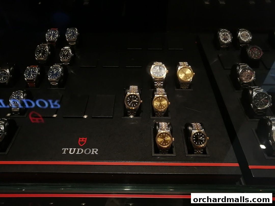 A display case showcasing various Tudor watches, featuring different styles and materials.