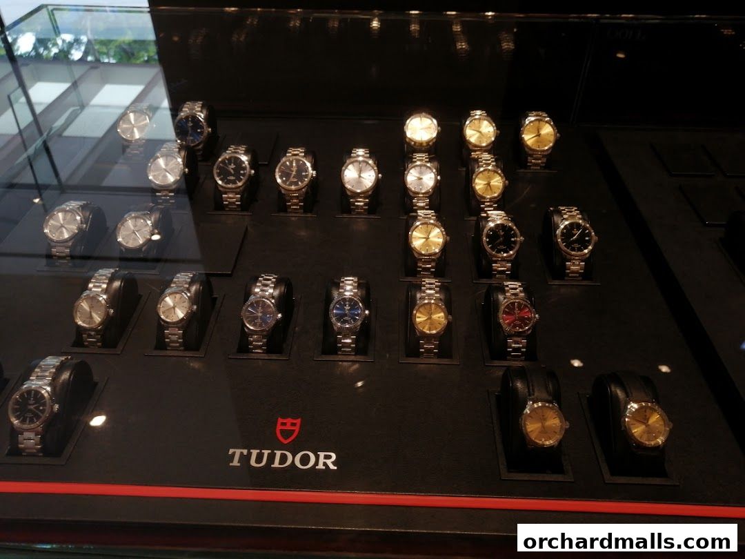 A display case showcasing a variety of Tudor watches in different styles and metals.