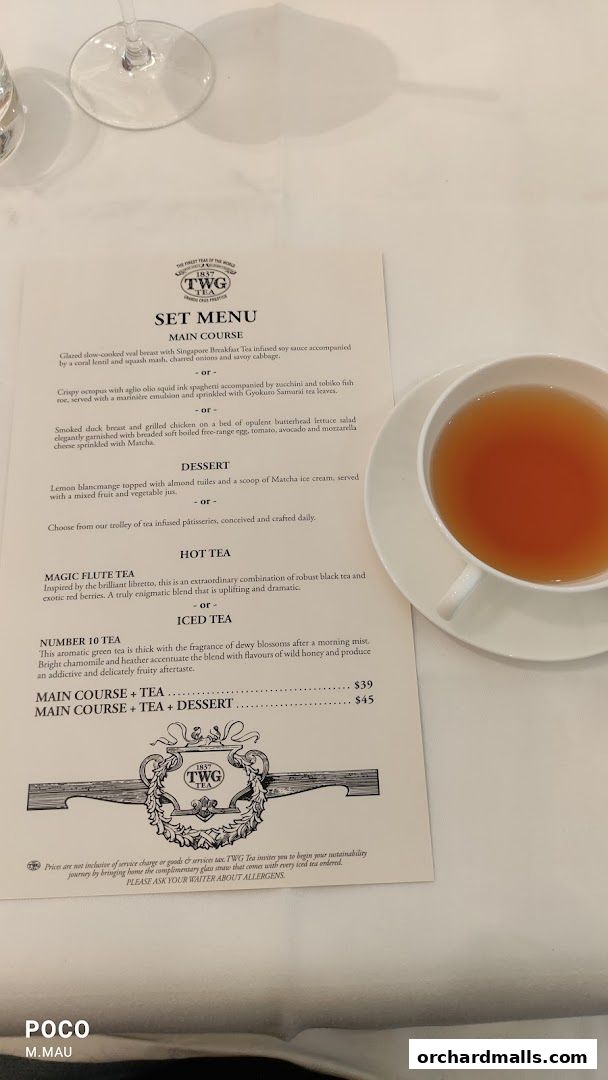 A TWG Tea set menu with a cup of tea and a glass of water on a white table.