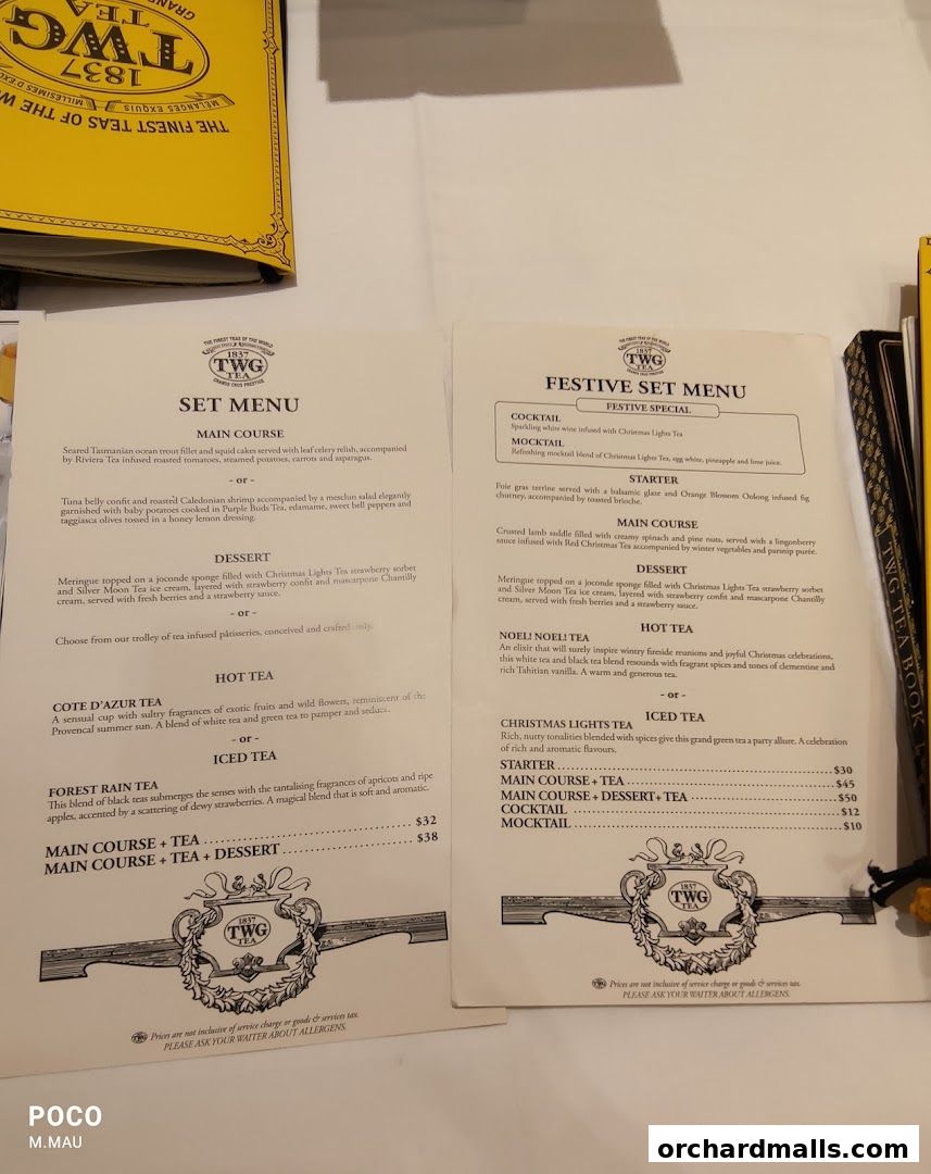 A close-up view of two TWG Tea menus, showcasing set menus and festive specials.