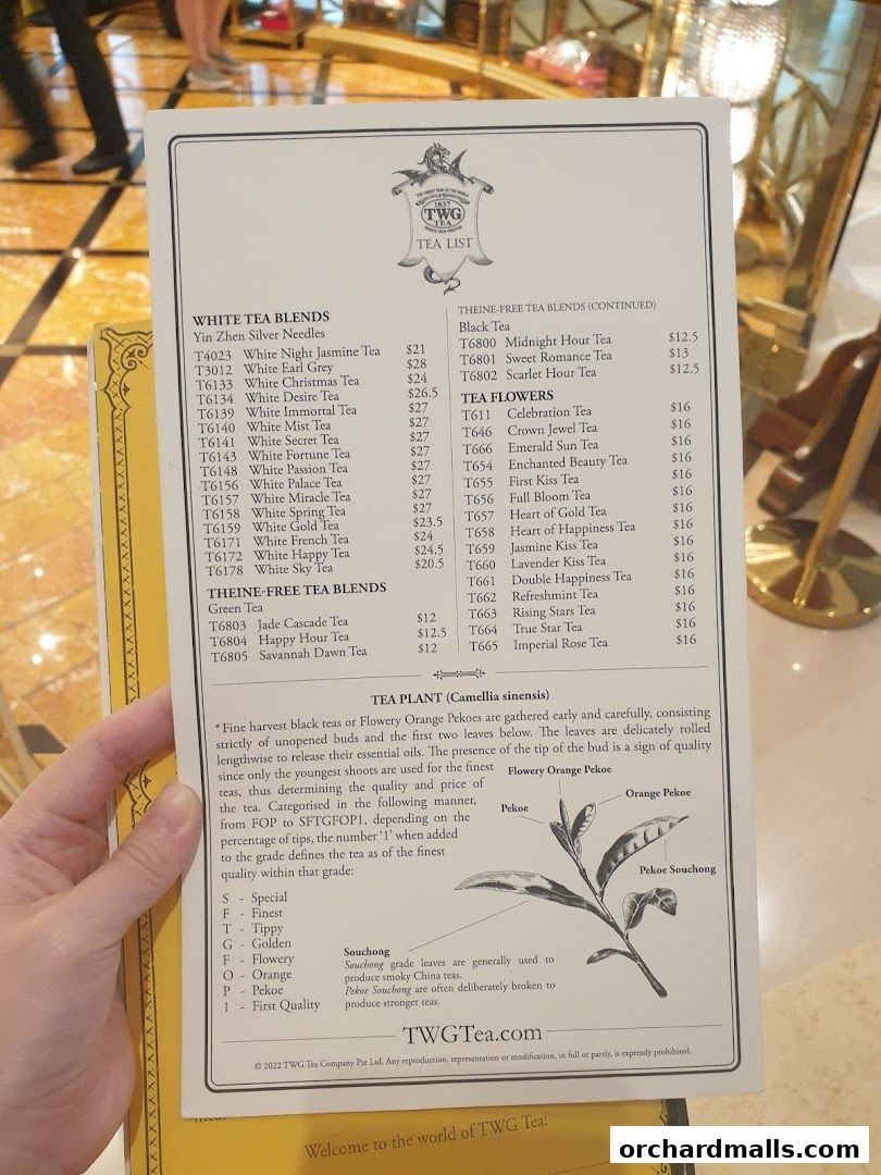 A person holds a TWG Tea menu listing various tea blends and their prices.
