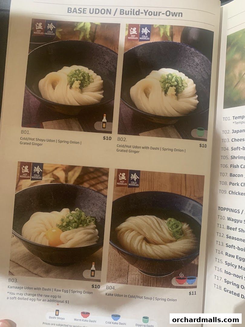 A menu page showcasing various udon noodle dishes with descriptions and prices.