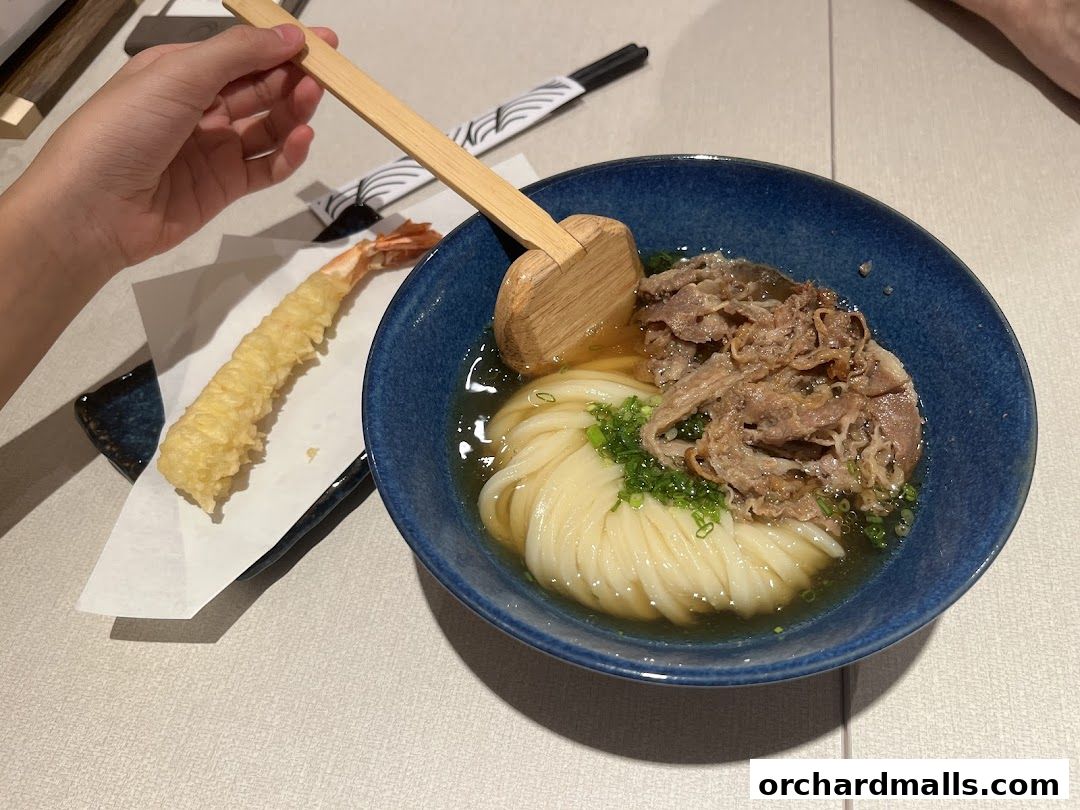 A bowl of udon noodles with beef and a side of tempura shrimp.