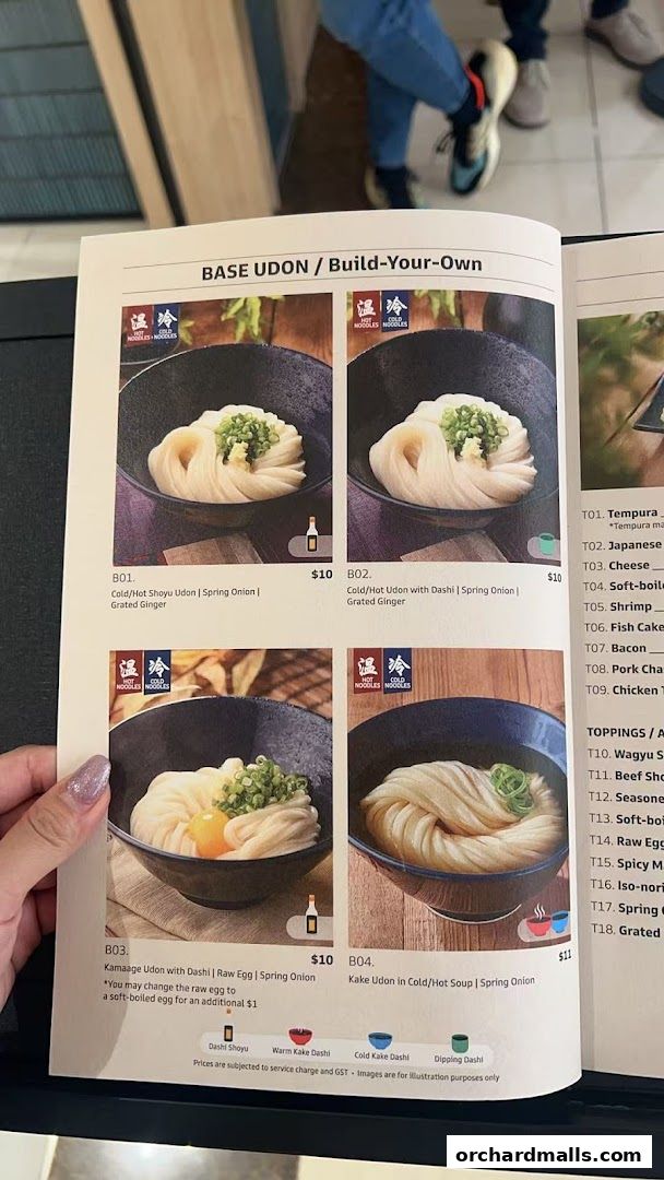 A menu page showcasing various udon dishes with images and descriptions.