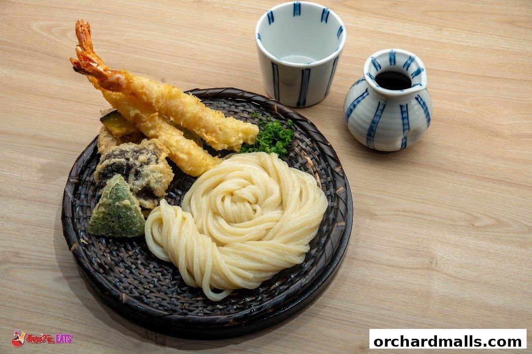 A plate of udon noodles with tempura shrimp and vegetables, served with dipping sauce.