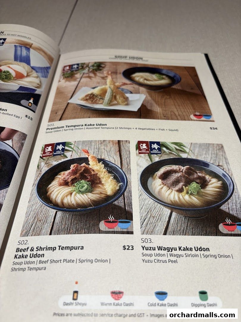 A menu page showcasing various udon noodle dishes with appetizing images and descriptions.