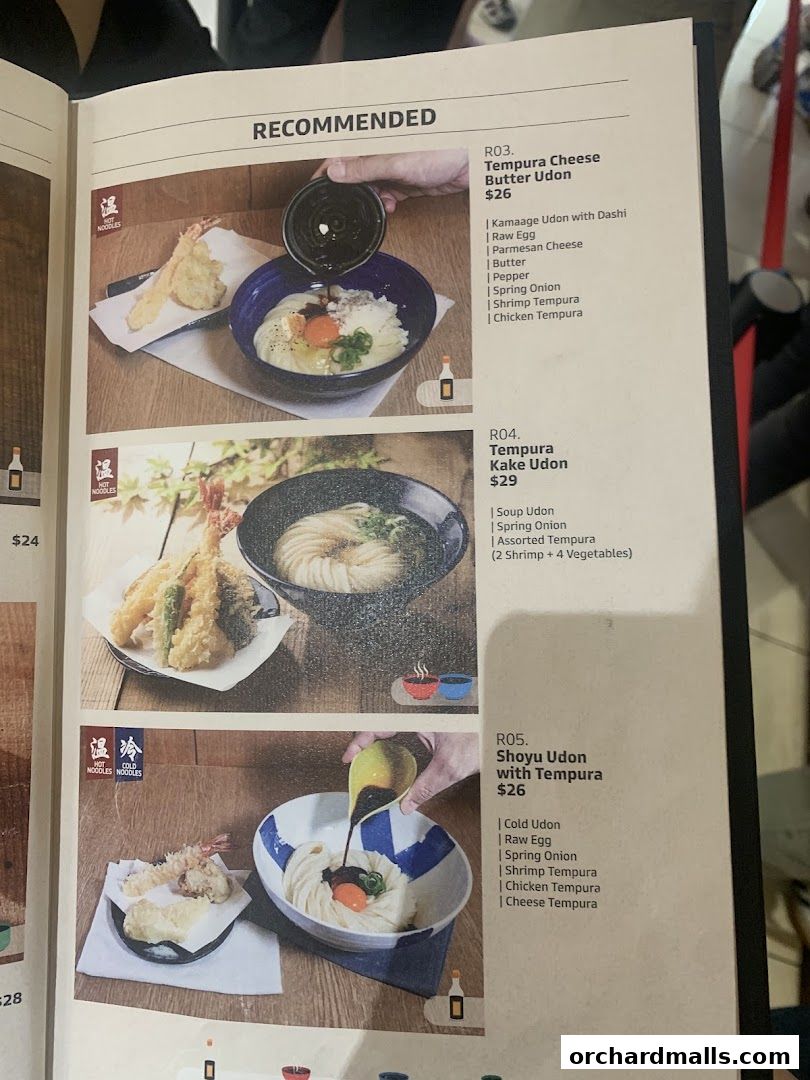 A menu page showcasing recommended udon dishes with images and descriptions.