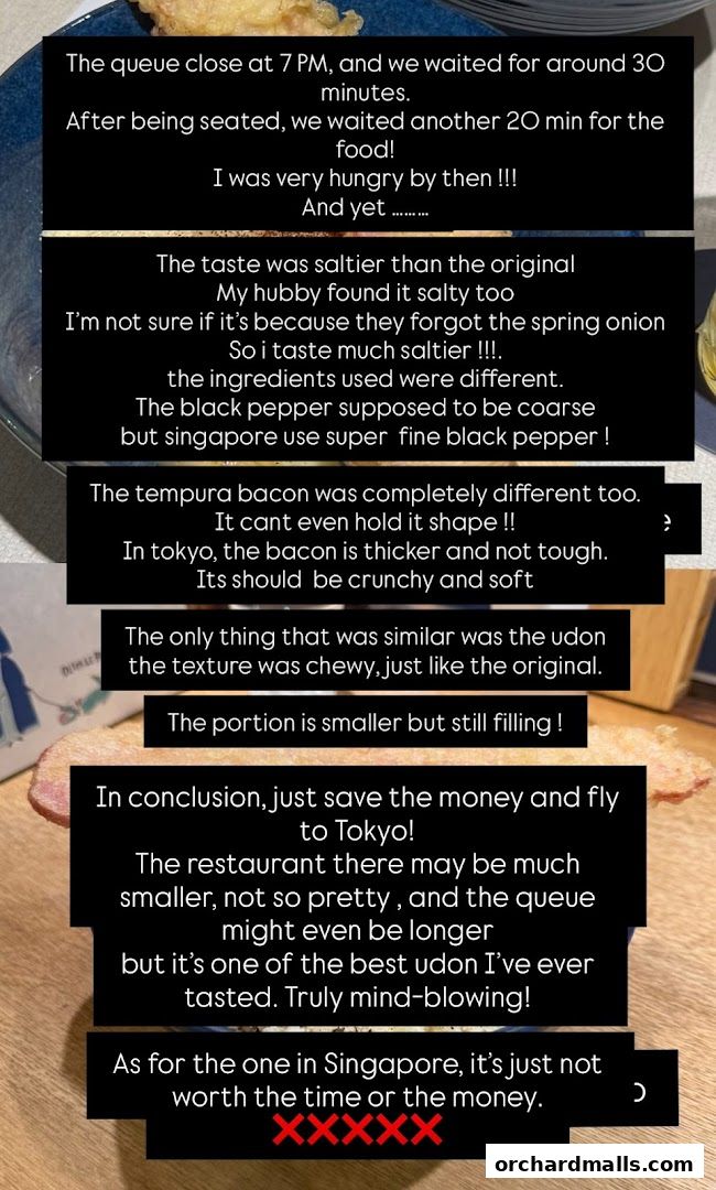 A review of Udon Shin Singapore, discussing taste, ingredients, and portion size.