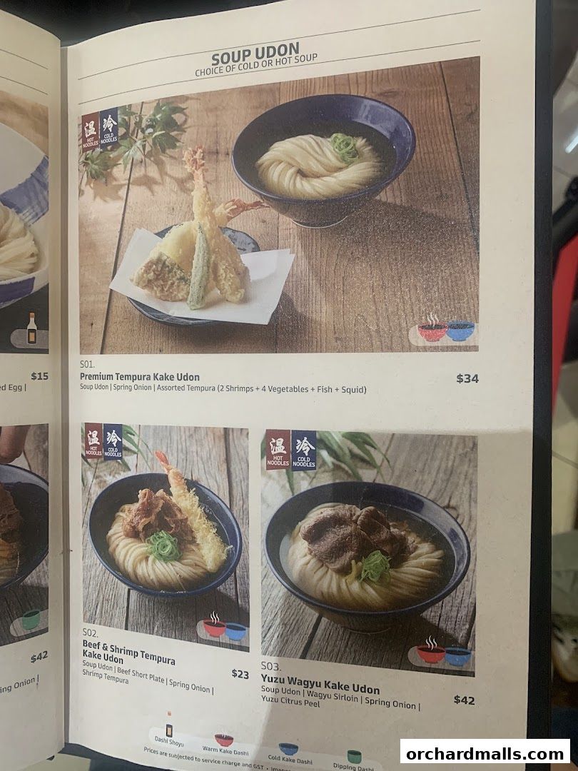 A menu page showcasing various udon noodle dishes with appetizing images and descriptions.