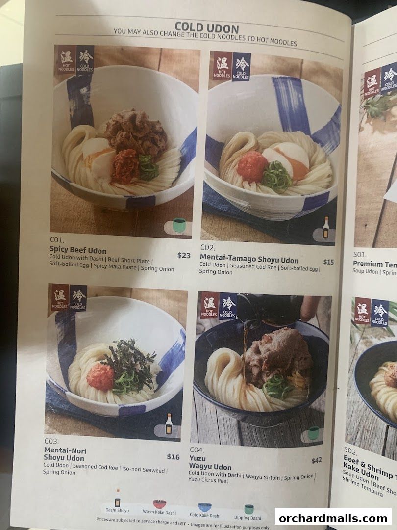 A menu page showcasing various cold udon noodle dishes with appetizing images and descriptions.