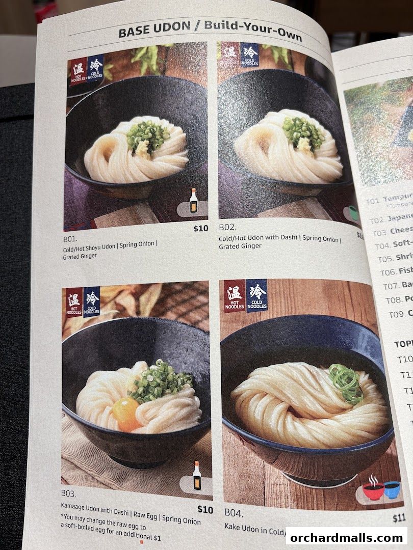 A menu page showcasing various udon noodle dishes with appetizing visuals.