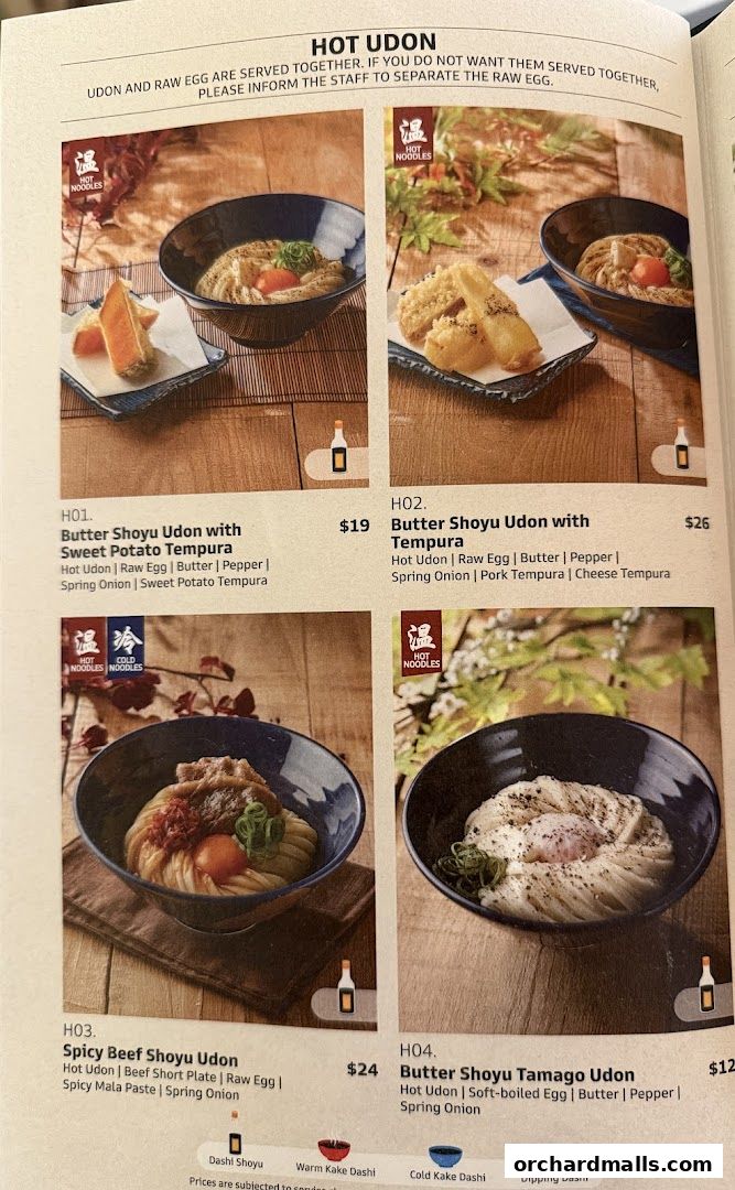 A menu page showcasing various hot udon dishes with descriptions and prices.
