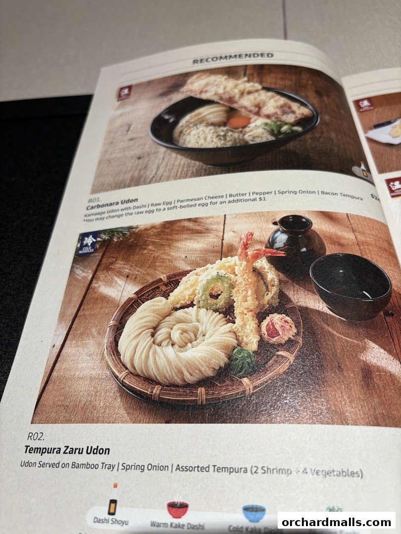 A menu page showcasing recommended udon dishes with appetizing food photography.