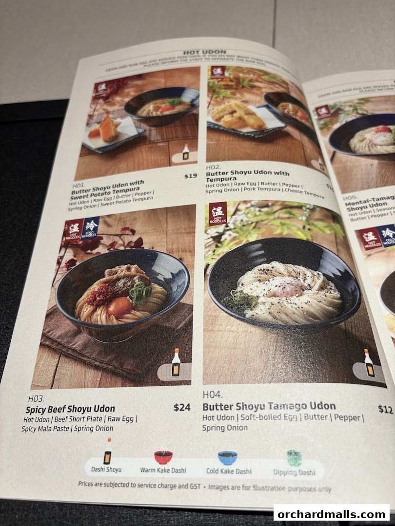 A menu page showcasing various hot udon dishes with descriptions and prices.