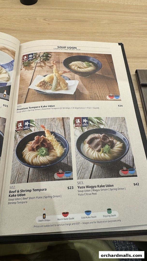 A menu page showcasing various udon noodle soup dishes with appetizing images and descriptions.