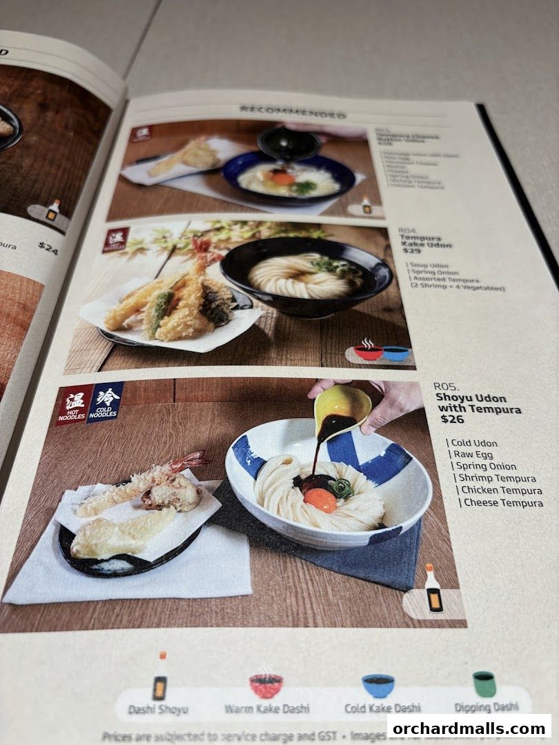 A menu page showcasing udon dishes with tempura and various broth options.