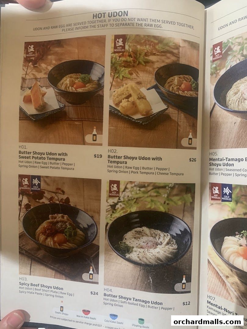 A menu page showcasing various hot udon dishes with descriptions and prices.