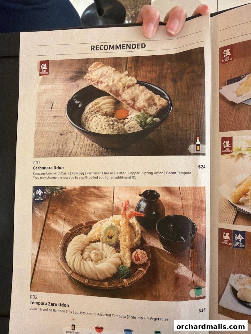 A menu page showcasing recommended udon dishes with enticing food photography.