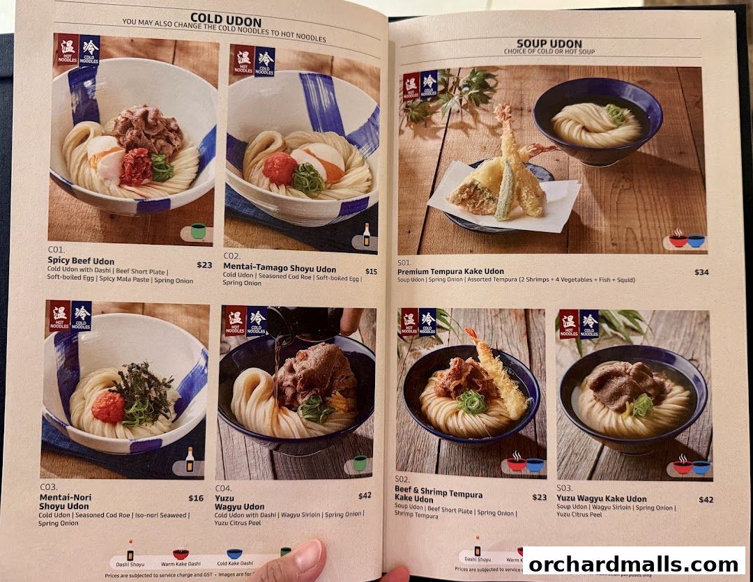 A menu page showcasing various cold and soup udon dishes with appetizing images and descriptions.
